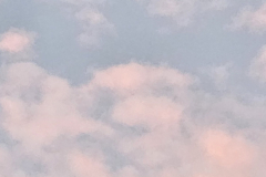 20230725_202316